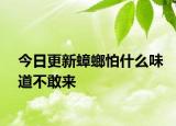 今日更新蟑螂怕什么味道不敢來