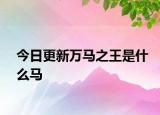 今日更新萬馬之王是什么馬