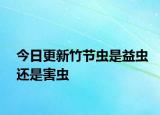 今日更新竹節(jié)蟲是益蟲還是害蟲