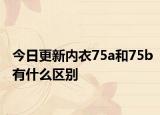 今日更新內(nèi)衣75a和75b有什么區(qū)別