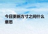 今日更新方寸之間什么意思