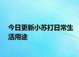 今日更新小蘇打日常生活用途