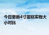 今日更新4寸蛋糕實物大小對比