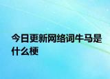 今日更新網(wǎng)絡詞牛馬是什么梗