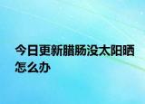 今日更新臘腸沒太陽曬怎么辦