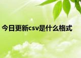 今日更新csv是什么格式