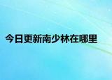 今日更新南少林在哪里