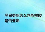 今日更新怎么判斷桃膠是否煮熟