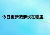 今日更新菠蘿長(zhǎng)在哪里