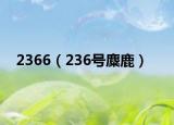 2366（236號(hào)麋鹿）