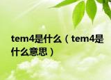 tem4是什么（tem4是什么意思）