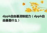 dpph自由基清除能力（dpph自由基是什么）