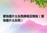 愛情是什么東西原唱完整版（愛情是什么東西）