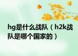 hg是什么戰(zhàn)隊（h2k戰(zhàn)隊是哪個國家的）