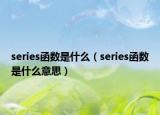 series函數(shù)是什么（series函數(shù)是什么意思）