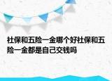 社保和五險(xiǎn)一金哪個(gè)好社保和五險(xiǎn)一金都是自己交錢嗎