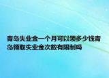 青島失業(yè)金一個(gè)月可以領(lǐng)多少錢青島領(lǐng)取失業(yè)金次數(shù)有限制嗎