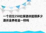 一個月交250社保退休能領(lǐng)多少退休金養(yǎng)老金一樣嗎