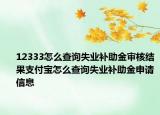 12333怎么查詢失業(yè)補(bǔ)助金審核結(jié)果支付寶怎么查詢失業(yè)補(bǔ)助金申請信息