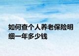 如何查個(gè)人養(yǎng)老保險(xiǎn)明細(xì)一年多少錢