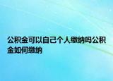 公積金可以自己個人繳納嗎公積金如何繳納