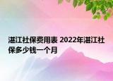 湛江社保費用表 2022年湛江社保多少錢一個月