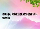 泰州中小微企業(yè)住房公積金可以緩繳嗎