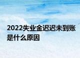 2022失業(yè)金遲遲未到賬是什么原因