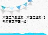 末世之鳳凰涅槃（末世之涅槃 飛翔的韭菜所著小說）