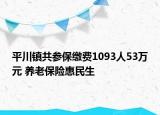 平川鎮(zhèn)共參保繳費(fèi)1093人53萬元 養(yǎng)老保險(xiǎn)惠民生