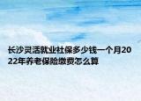 長(zhǎng)沙靈活就業(yè)社保多少錢一個(gè)月2022年養(yǎng)老保險(xiǎn)繳費(fèi)怎么算