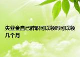 失業(yè)金自己辭職可以領(lǐng)嗎可以領(lǐng)幾個(gè)月