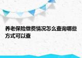 養(yǎng)老保險繳費情況怎么查詢哪些方式可以查