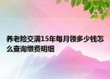 養(yǎng)老險交滿15年每月領(lǐng)多少錢怎么查詢繳費明細(xì)