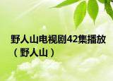 野人山電視劇42集播放（野人山）