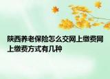 陜西養(yǎng)老保險(xiǎn)怎么交網(wǎng)上繳費(fèi)網(wǎng)上繳費(fèi)方式有幾種