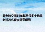 養(yǎng)老險交滿15年每月領(lǐng)多少錢養(yǎng)老險怎么查詢繳費明細(xì)