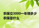 農(nóng)保交3000一年領多少農(nóng)保是什么