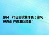 象風(fēng)一樣自由歌曲許?。ㄏ耧L(fēng)一樣自由 許巍演唱歌曲）