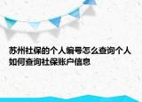 蘇州社保的個(gè)人編號(hào)怎么查詢個(gè)人如何查詢社保賬戶信息