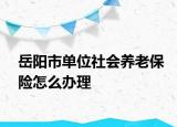 岳陽市單位社會養(yǎng)老保險(xiǎn)怎么辦理