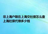 非上海戶籍在上海交社保怎么查上海社保代繳多少錢