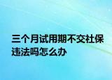 三個(gè)月試用期不交社保違法嗎怎么辦