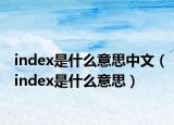 index是什么意思中文（index是什么意思）