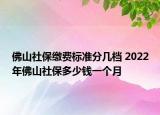 佛山社保繳費標準分幾檔 2022年佛山社保多少錢一個月