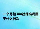 一個(gè)月扣300社保高嗎屬于什么檔次