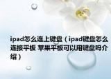 ipad怎么連上鍵盤(pán)（ipad鍵盤(pán)怎么連接平板 蘋(píng)果平板可以用鍵盤(pán)嗎介紹）