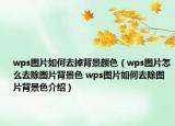 wps圖片如何去掉背景顏色（wps圖片怎么去除圖片背景色 wps圖片如何去除圖片背景色介紹）