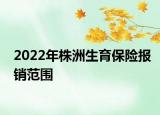 2022年株洲生育保險報銷范圍