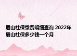 眉山社保繳費(fèi)明細(xì)查詢 2022年眉山社保多少錢一個(gè)月